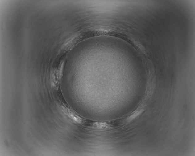 X0000078000528200610271139