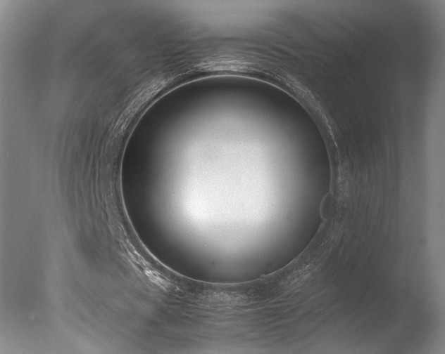 X0000078000529200610271139