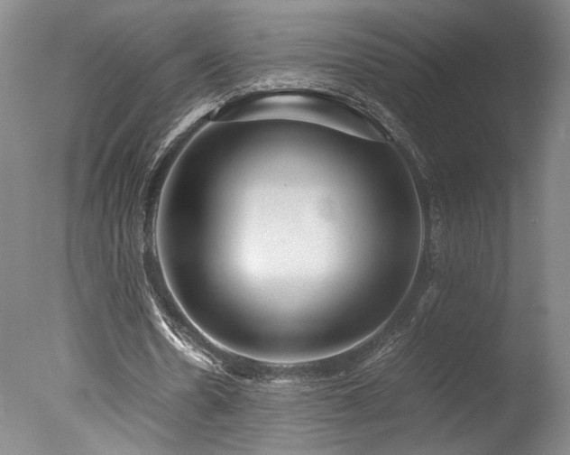 X0000078000530200610271139