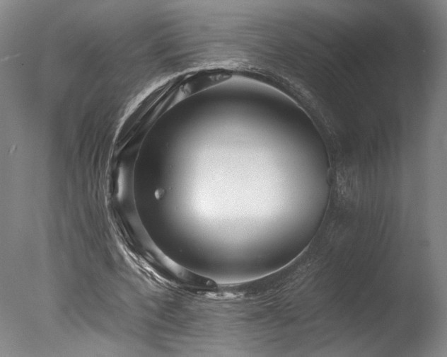 X0000078000532200610271139