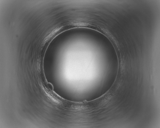 X0000078000533200610271139