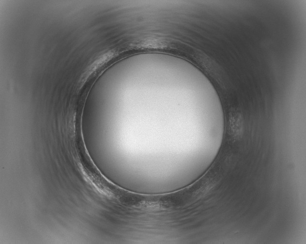 X0000078000534200610271139