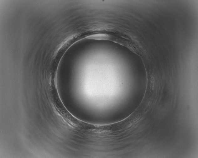 X0000078000539200610271139