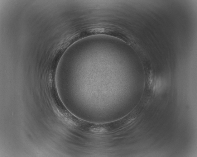 X0000078000551200610271139