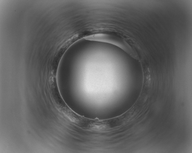 X0000078000555200610271139
