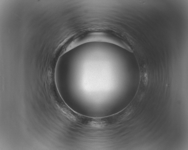 X0000078000556200610271139