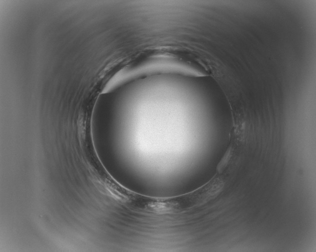 X0000078000558200610271139