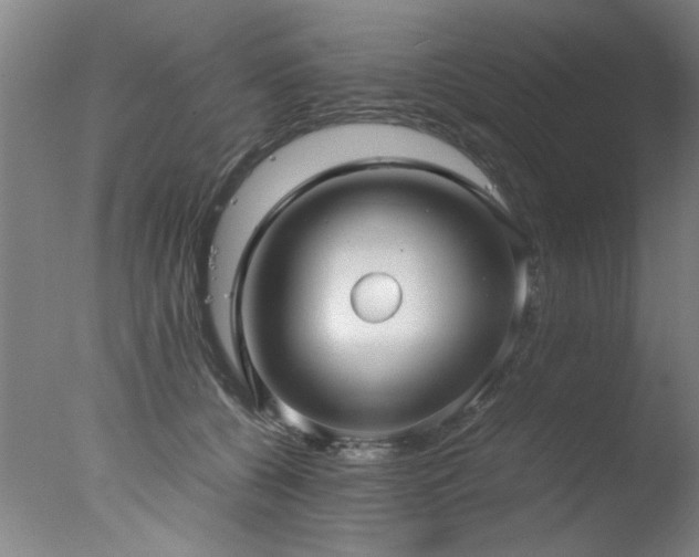 X0000078000560200610271139
