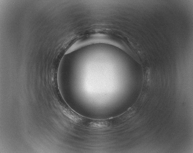 X0000078000567200610271139