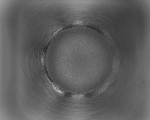 X0000078000576200610271139