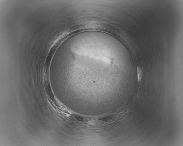 X0000078000579200610271139