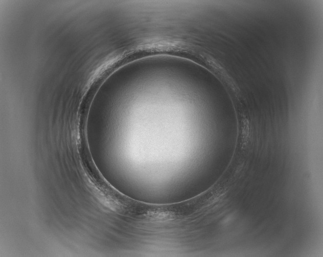 X0000078000582200610271139