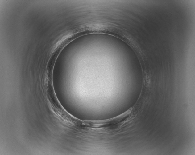 X0000078000583200610271139