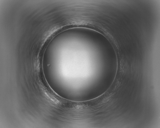 X0000078000584200610271139