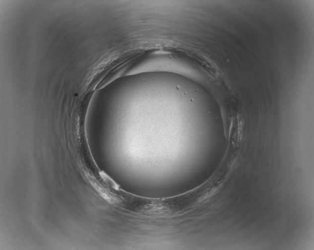 X0000078000589200610271138