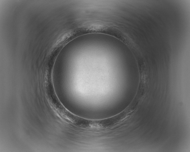 X0000078000591200610271138