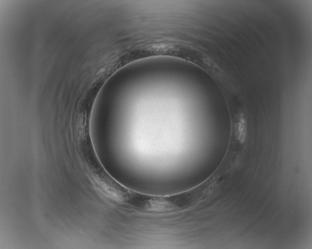 X0000078000605200610271138
