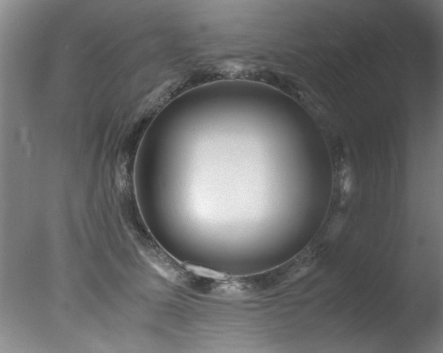 X0000078000611200610271138