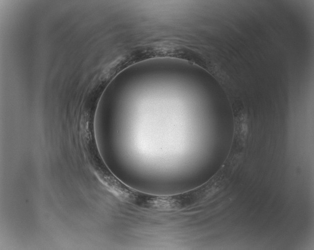 X0000078000615200610271138