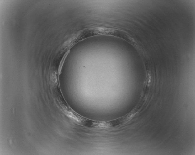 X0000078000621200610271138