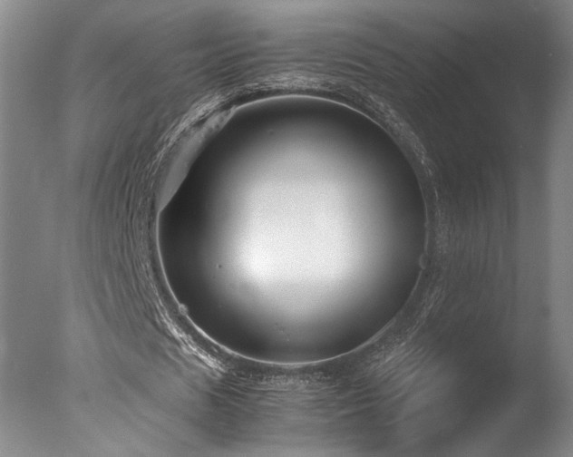 X0000078000625200610271137