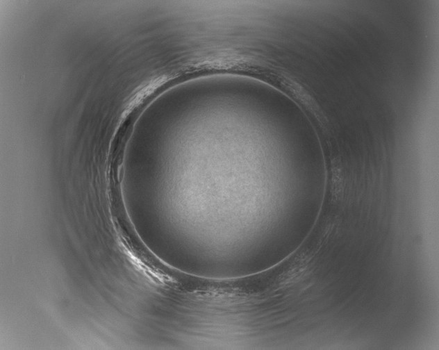 X0000078000626200610271137