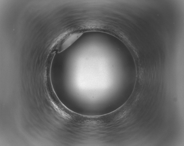 X0000078000629200610271137