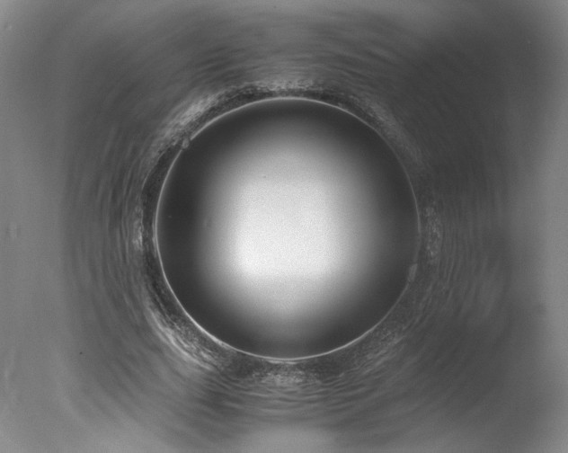 X0000078000631200610271137