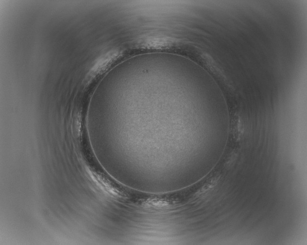 X0000078000640200610271137