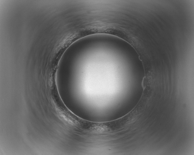 X0000078000642200610271137