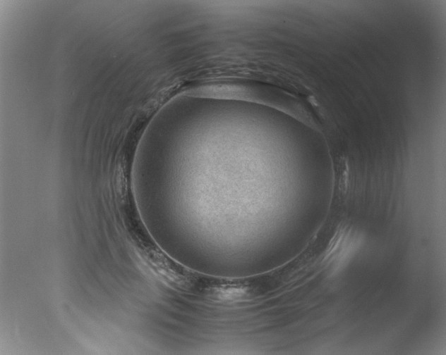 X0000078000651200610271137