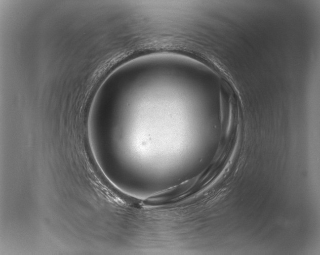 X0000078000673200610271137