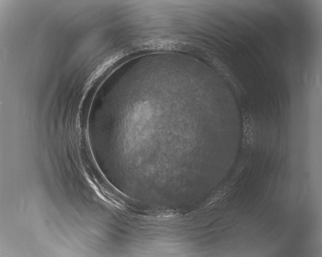 X0000078000674200610271137