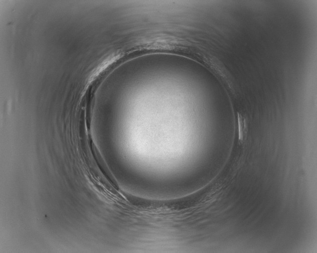 X0000078000675200610271137
