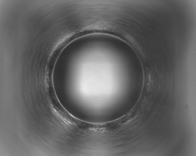 X0000078000680200610271137