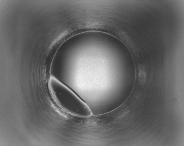 X0000078000684200610271137