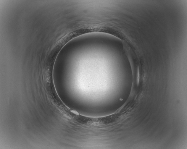 X0000078000689200610271137