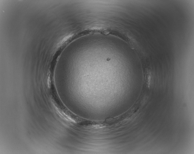 X0000078000692200610271137