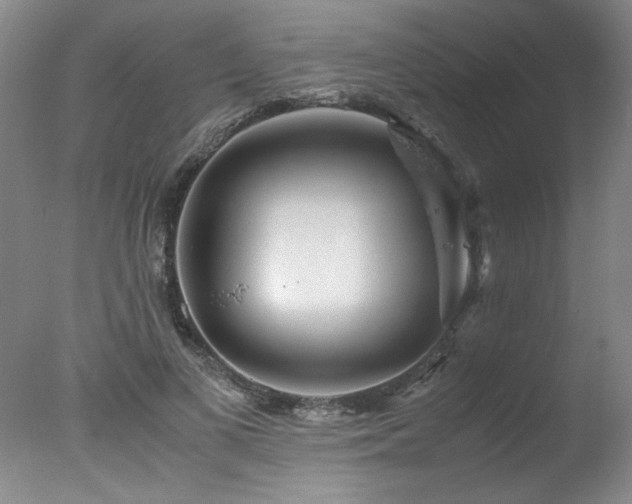 X0000078000693200610271137