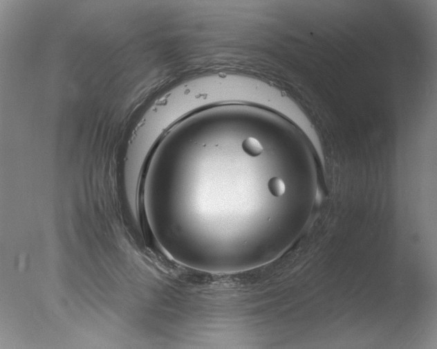 X0000078000696200610271137