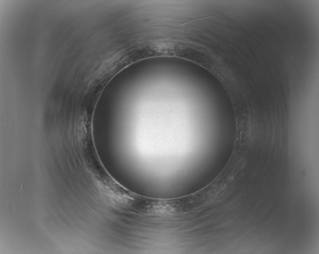 X0000078000702200610271137