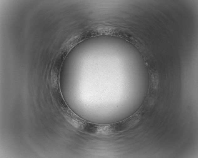 X0000078000705200610271136