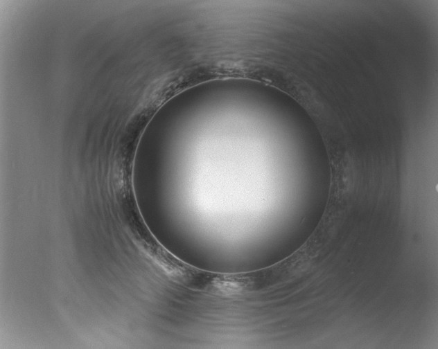 X0000078000706200610271136