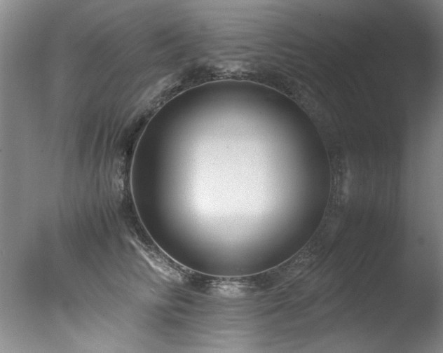 X0000078000710200610271136