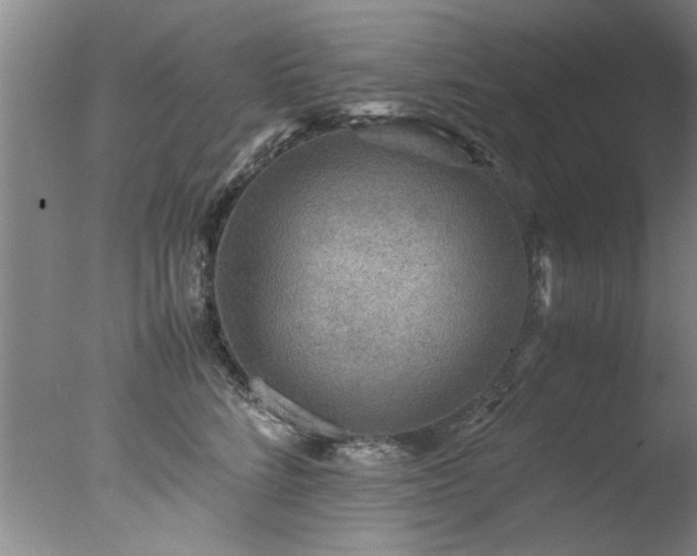 X0000078000712200610271136