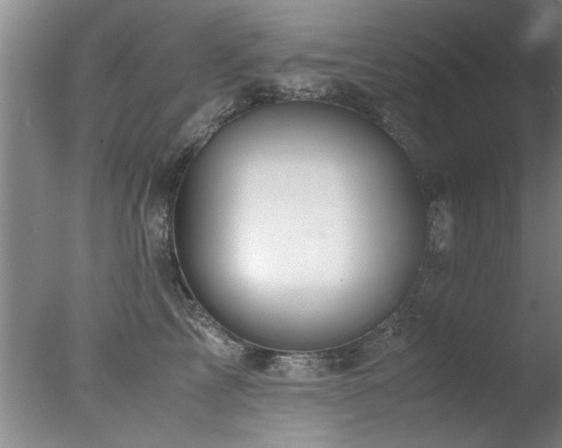 X0000078000713200610271136