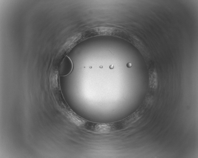 X0000078000717200610271136