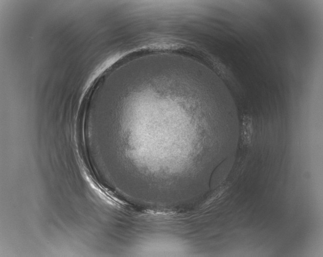 X0000078000726200610271136