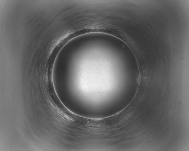 X0000078000727200610271136
