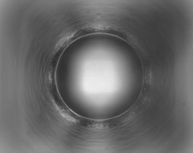X0000078000740200610271136